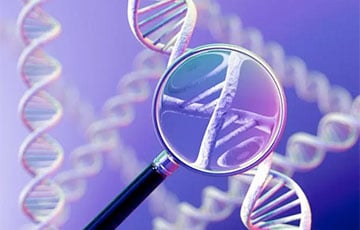 Секрет вечной молодости: ученые открыли уникальный ген