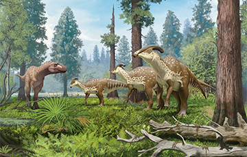 На севере Китая ученые обнаружили следы тысяч динозавров