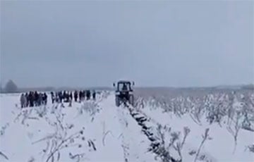 Беларусских рабочих отправляют выкапывать морковь из-под снега