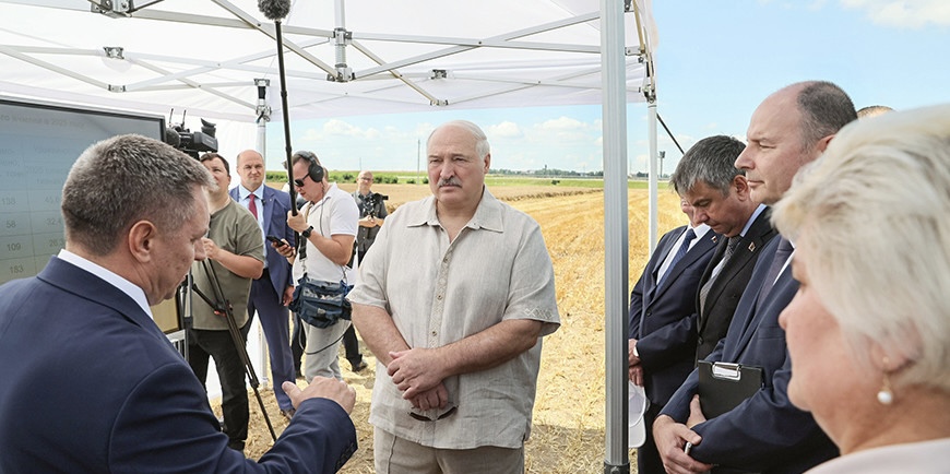 Лукашенко потребовал ускорить уборку урожая и высказался о падеже КРС: «не дай Бог разозлите!»