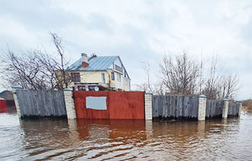 В Гомельской области талые воды затопили четыре района