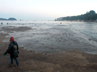 Цунами у побережья Японии оказалось десятисантиметровой волной
