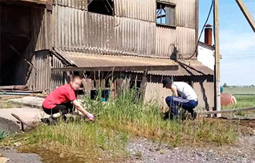 Как в Житковичском районе используют детский труд