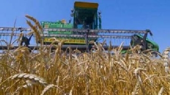 Сельхозорганизации Беларуси преодолели двухмиллионный рубеж по сбору сахарной свеклы