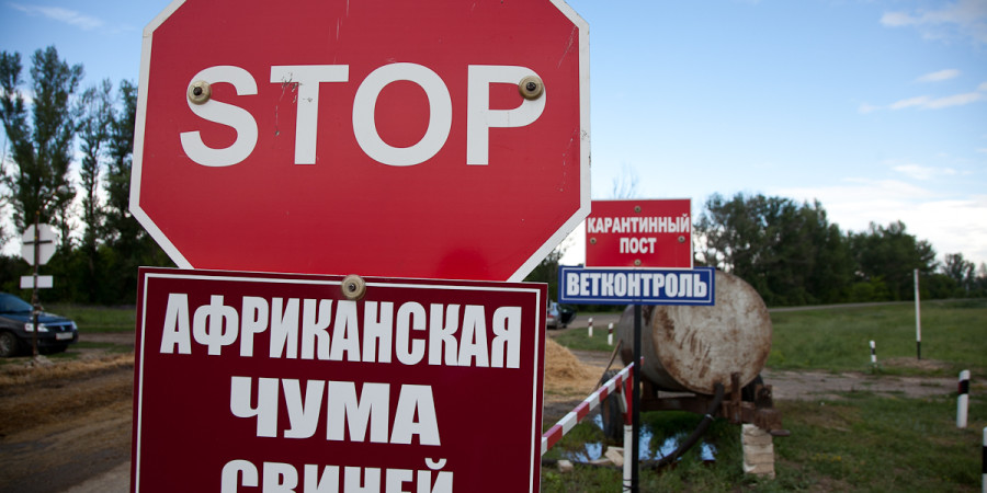 В Беларуси утвержден новый план по предупреждению АЧС
