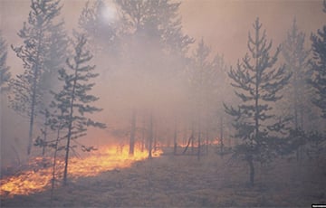 Беларусские лесники тушат пожар на границе с Украиной