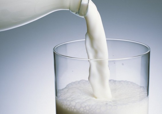 «Молочную проблему» обсудят на заседании Совмина Союзного государства