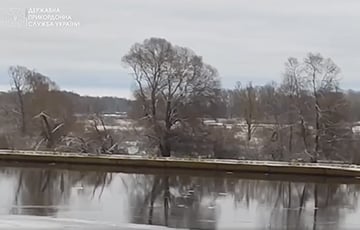 В Минске заметили человека-моржа