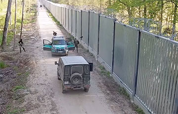 Конфликт на границе: нелегалы атаковали польский патруль