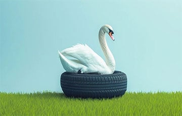 Лебеди из покрышек, пальмы из пластика: можно ли украшать дворы подобным?