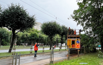 Трамваи и троллейбусы останавливались в Минске из-за непогоды