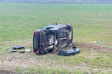 Под Могилевом Volkswagen столкнулся с лосем