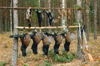 Минлесхоз создал каталог охотничьих хозяйств Беларуси