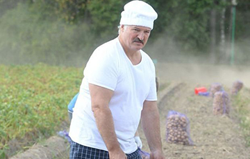Лукашенко: На памятник за войну в Беларуси нужно поставить мешок картошки