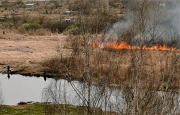 В Беларуси зафиксирован первый лесной пожар