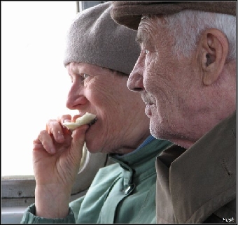 Льготный проезд пенсионерам на пригородном транспорте в период сельхозработ в 2012 году сохранится