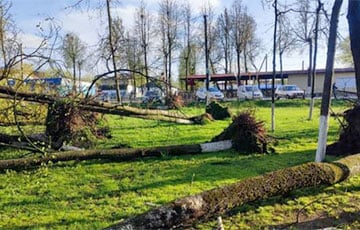 Разбитые окна и снесенные крыши: ветер в Могилевской области не щадил ничего