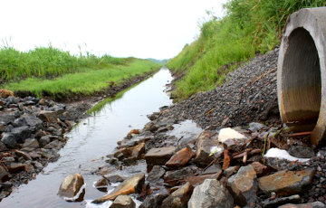 Жители Березовского района не дали властям осушить уникальное болото