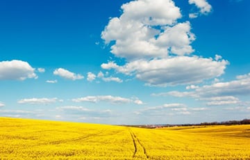 В Беларусь возвращается лето