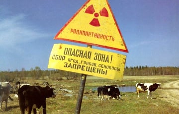 Земельные участки в 10 районах Гомельщины исключили из числа радиационноопасных