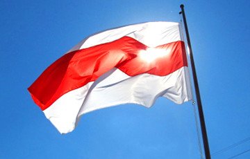 Бело-красно-белый флаг заметили на матче Нидерланды – Украина