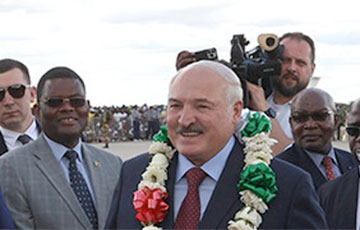 Орехи кешью для Лукашенко