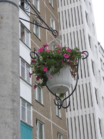 Товарищества собственников будут создавать в Минске с 2012 года после проведения капремонта домов