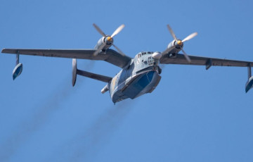 Эксперты назвали неочевидную цель уничтожения редких Бе-12 в Крыму