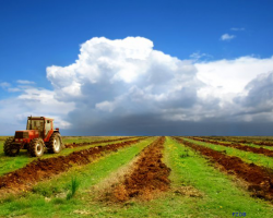 Сельхозорганизации рекордно теряют прибыль
