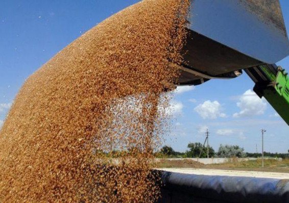 Финансовая милиция выявила махинации с поставкой зерна белорусским предприятиям