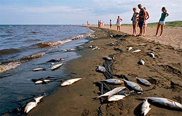 «Песок заражен, мазут на дне, корабли не подняты»