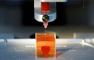 Ученые из Тель-Авива напечатали мини-сердце на 3D-принтере