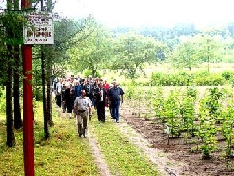 Лучшие лесные питомники по итогам 2011 года определены в Беларуси