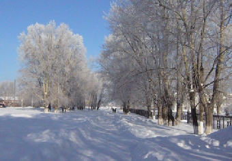 Морозы до 27 градусов ожидаются в ночные часы в предстоящие выходные на северо-востоке Беларуси