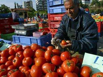 Европа вернула на прилавки "уродливые" овощи и фрукты