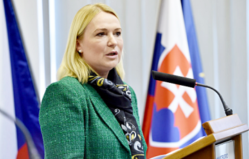 Министр обороны Чехии попала в ДТП