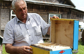 Предприниматель из Барановичей рассказал, как открыть «медовый» бизнес за $500
