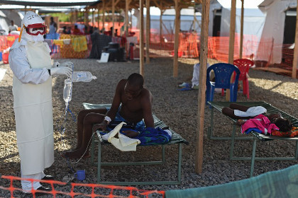 ВОЗ спрогнозировала спад эпидемии Эболы