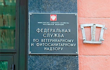 В Московии сожгли 20 тонн «беларусской» рыбы