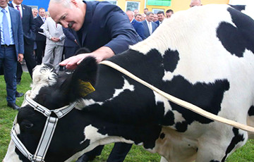 Лукашенко поручил выделить Венесуэле 500 тонн сухого молока
