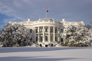 Белый дом поздравил Трампа с Днем президента
