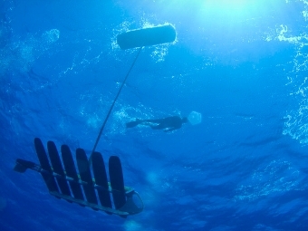 Роботы-пловцы преодолели рекордное расстояние