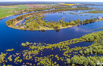 Неиссякаемое богатство: назван топ-10 самых интересных рек Беларуси