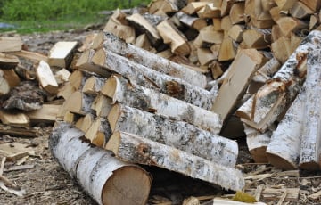 В Беларуси возникли проблемы с дровами