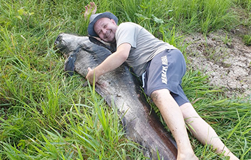 Новый рекорд: Около Наровли поймали огромного сома длиной 218 сантиметров