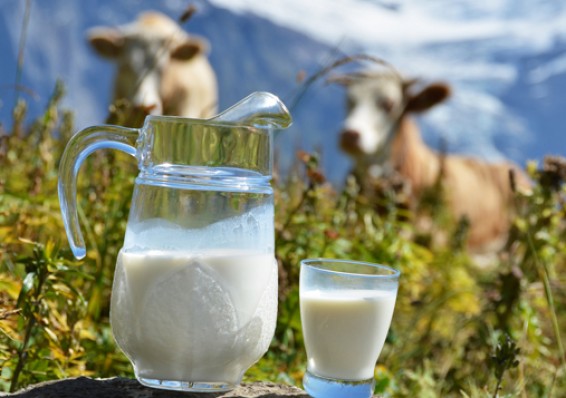 Цены на молоко могут резко вырасти
