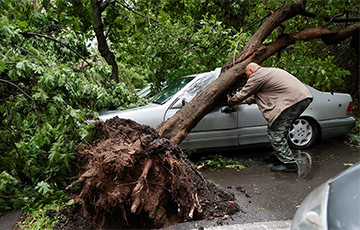 Ураган в Москве вырывал деревья с корнем