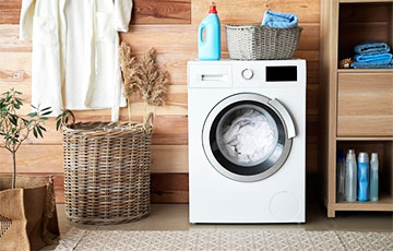 В Италии кот чудом выжил после машинной стирки