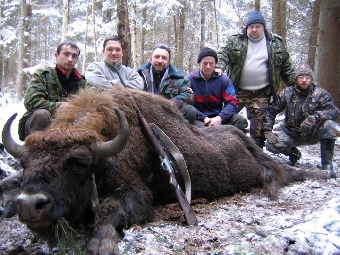 Контроль за незаконной охотой на зубров будет усилен в Беларуси