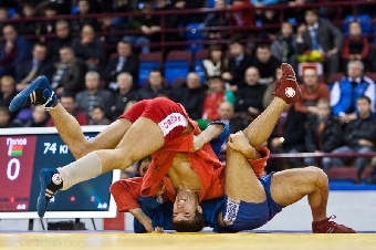 Хозяева завоевали 15 медалей на открытом чемпионате Беларуси по самбо на призы Президента